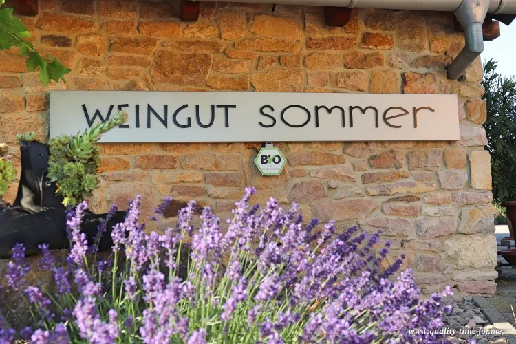 Stellplatz im Bio-Weingut Sommer in Siefersheim