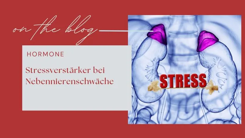 Stressverstärker bei Nebennierenschwäche