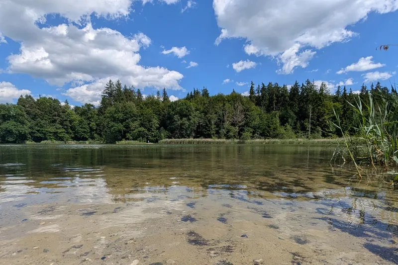 Von Waldgeistern und Himmelsteichen: Buxheim lockt mit herrlichem Wanderweg