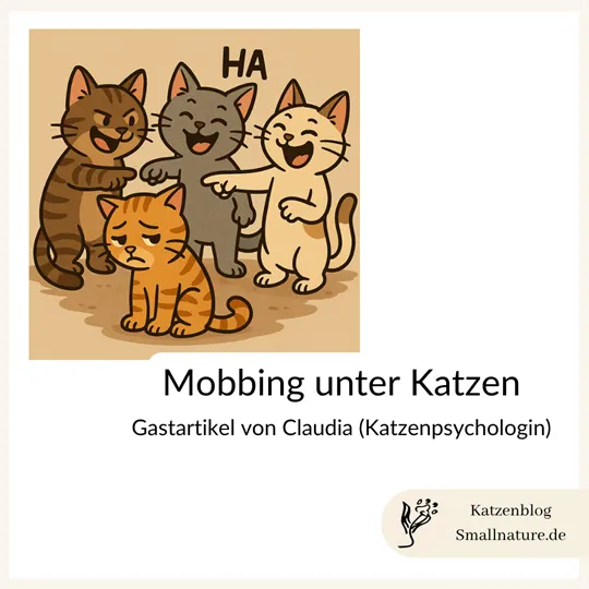 „Dem hau’ ich eine rein“ – Wenn Katzen mobben