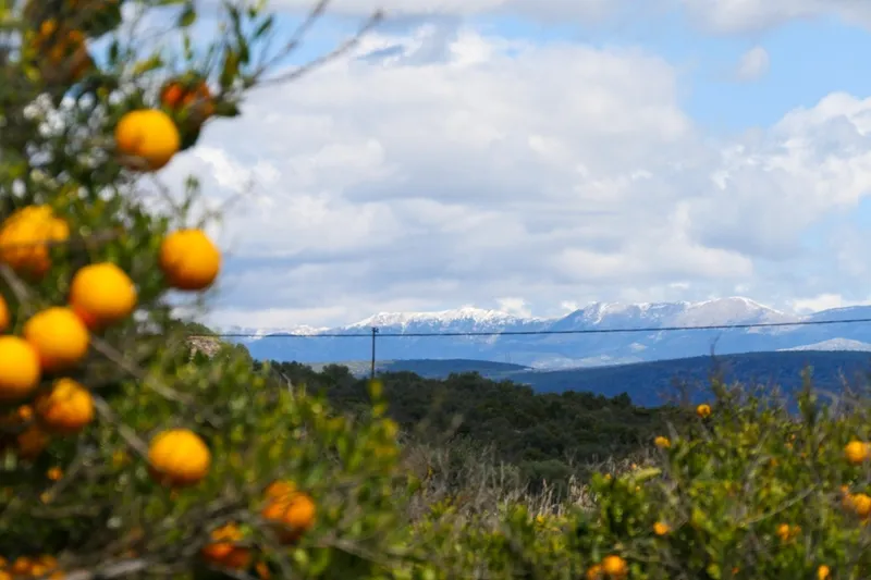 Die Peloponnes im Frühjahr: Roadtrip über die lakonische Halbinsel