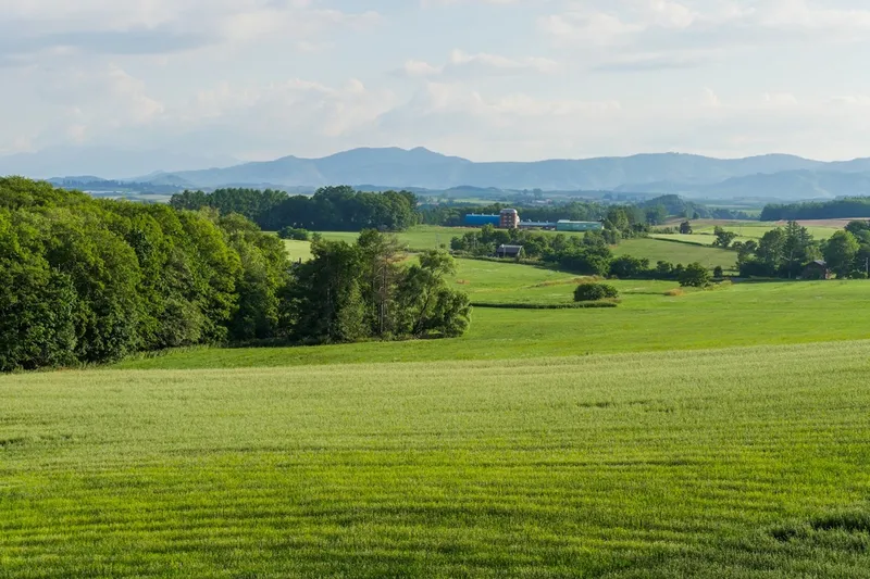 Hokkaido im Sommer erleben: Meine Tipps für Biei und Furano