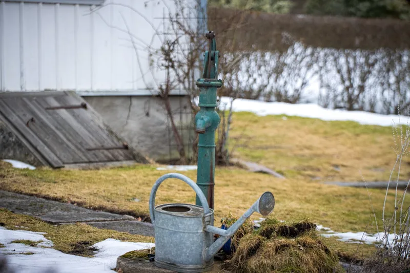 Mit der richtigen Brunnenpumpe die Wasserkosten im Garten deutlich senken