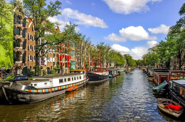 Hoe 100 bomen in Amsterdam een hittegolf van 35°C overleefden dankzij bodemvochtsensoren voor gemeen