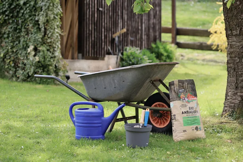 Je tuin vergroenen? Begin bij de basis