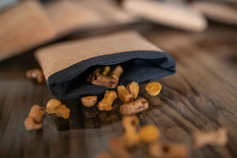 Vegetarische Hundekekse backen – 5 Rezepte für die Backmatte