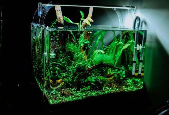 Wie viel Strom verbraucht mein Aquarium?