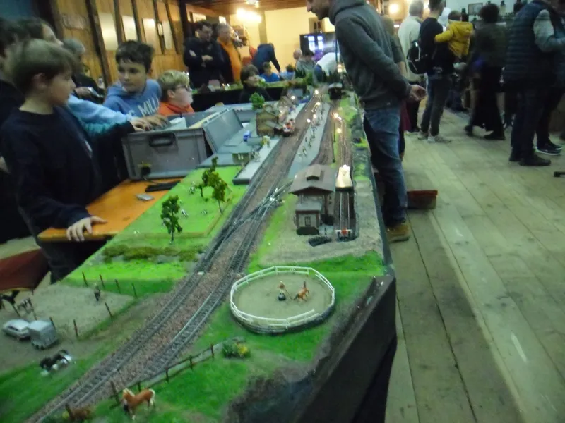 Modellbahntage 05. und 06.01.2025 in Pforzheim-Weißenstein
