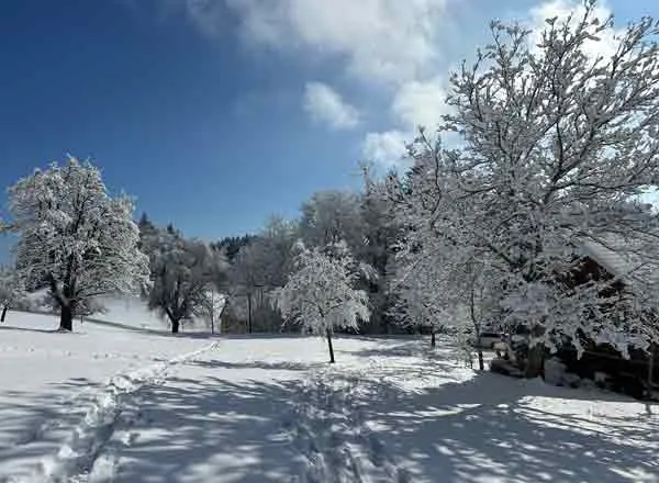 Der Winter kann für ältere Menschen positiv, aber auch herausfordernd sein