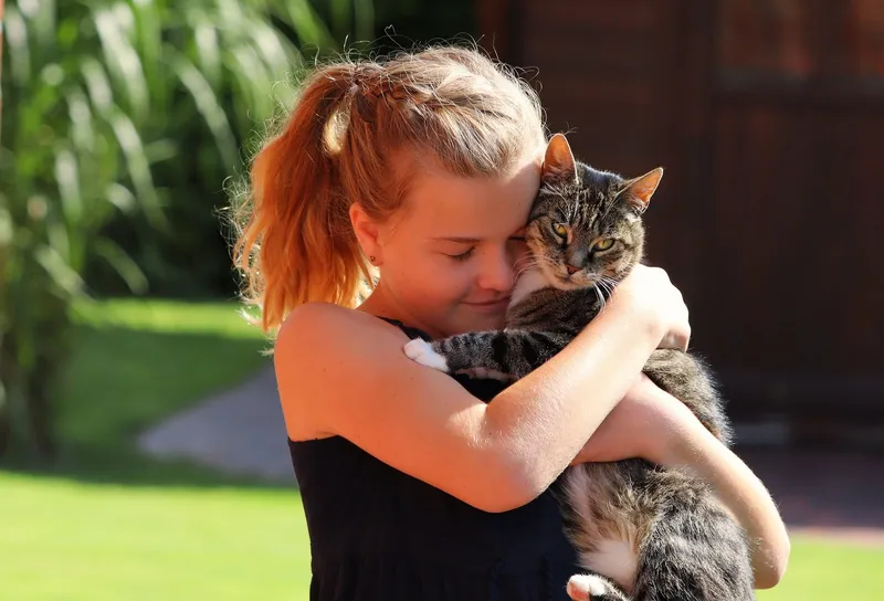 Eine Katze streicheln hilft bei Stress und Depressionen, stimmt das, oder ist es nur ein Mythos?