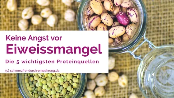 Keine Angst vor Eiweissmangel