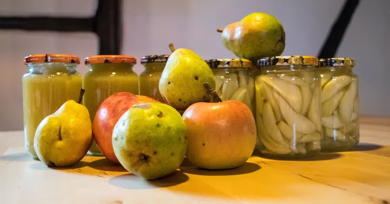 Apfel- und Birnenmus selbst gemacht!