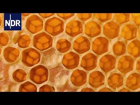 Videoempfehlung