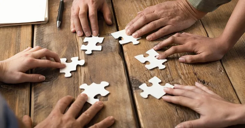Über Drachenjacken und Stakeholder-Erwartungen
