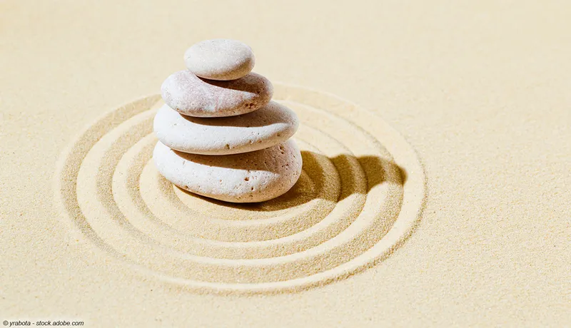 Mein Tischgarten – Ein bisschen Zen für Zuhause