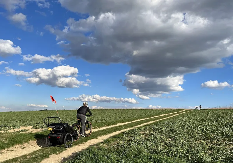 Fahrradanhänger im Test: Der Thule Chariot Sport 2