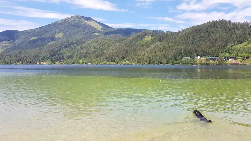Erlaufsee: Mein türkises Badeparadies
