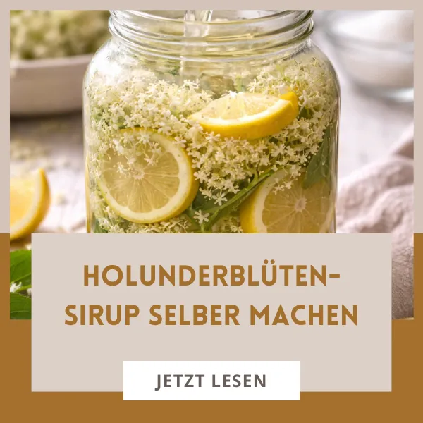 Holunderblütensirup selber machen – einfaches Rezept für den Sommer