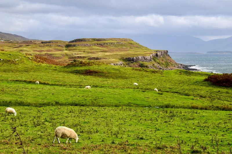 Schottland, Hebriden: 11 Lieblingsplätze auf der Isle of Mull