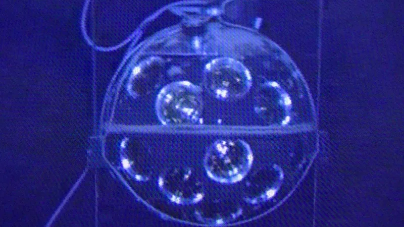 Neutrinos und Biolumineszenz im Mittelmeer