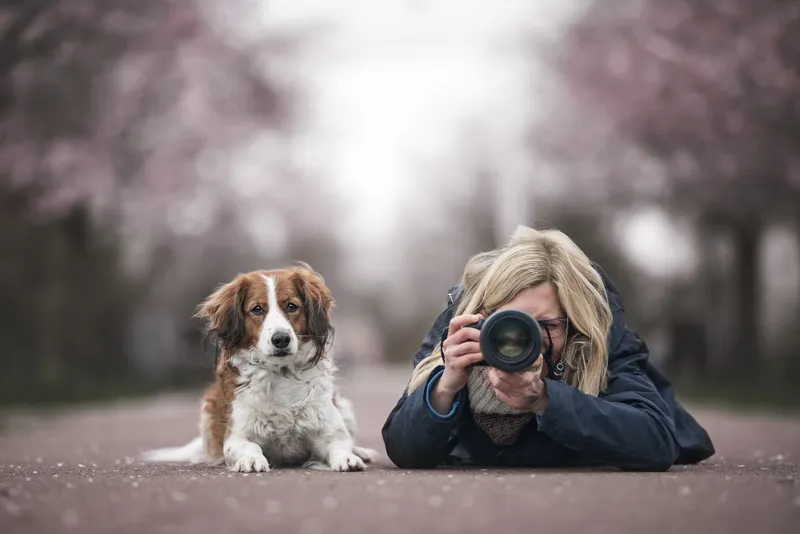 Finntastic Moments Photography – Über den eigenen Hund zur Fotografie