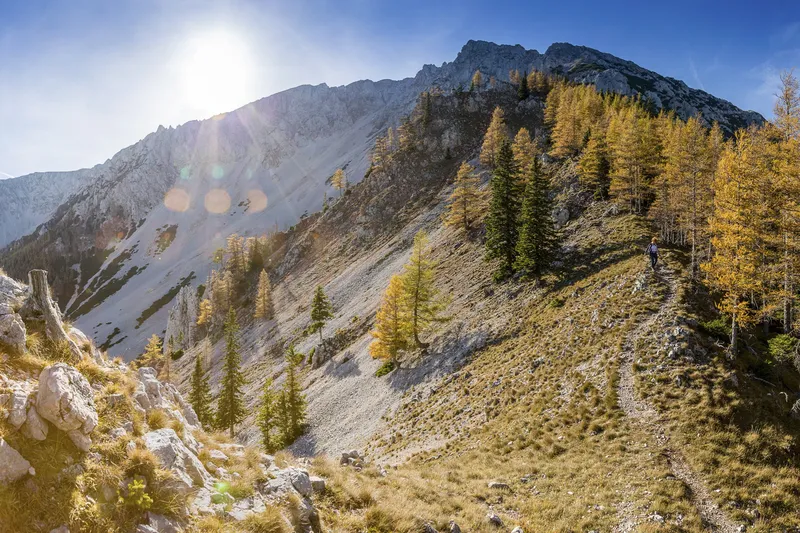 Wandern am Schneeberg: Die schönsten Wege und Steige