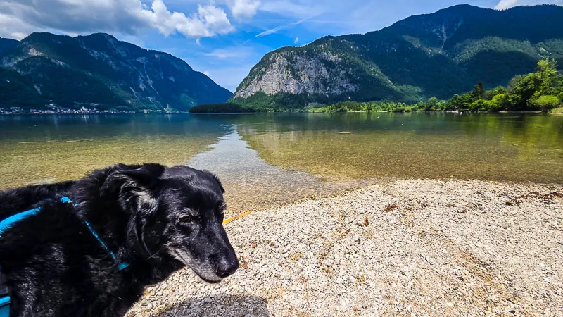 Am Hallstättersee mit Hund und Camper