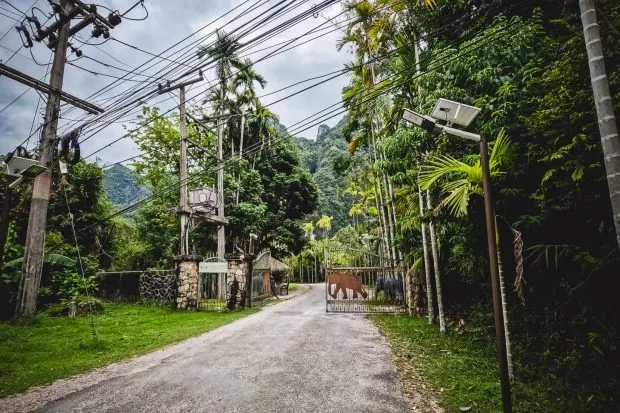 Elephant Hills, Khao Sok Nationalpark – Thailands erste Luxus-Zeltdschungelcamps