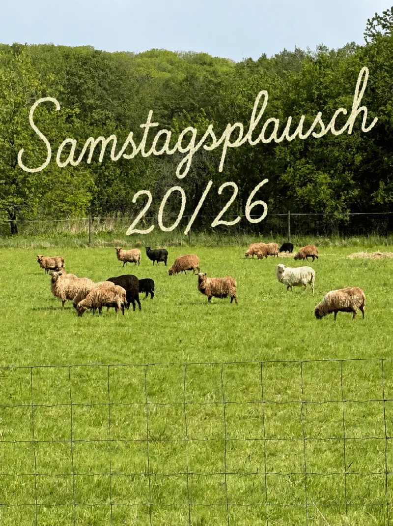 Samstagsplausch 20/26