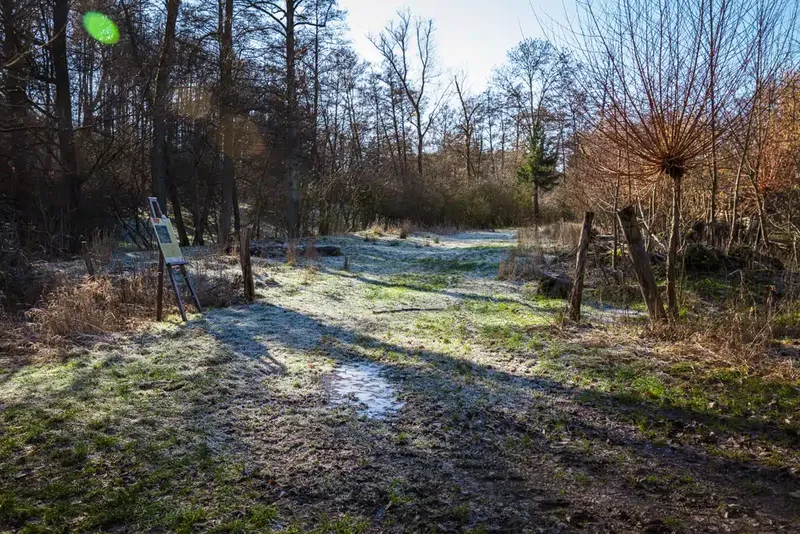 Fit in den Frühling
