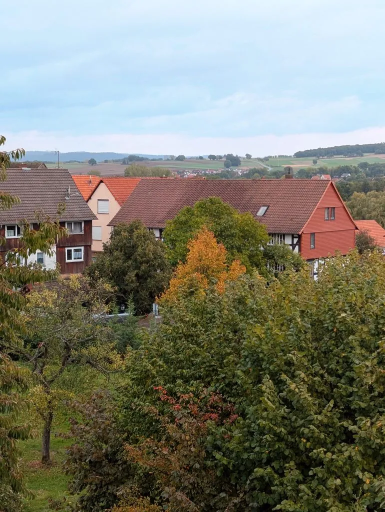 Malgruppe | Blick aus dem Fenster