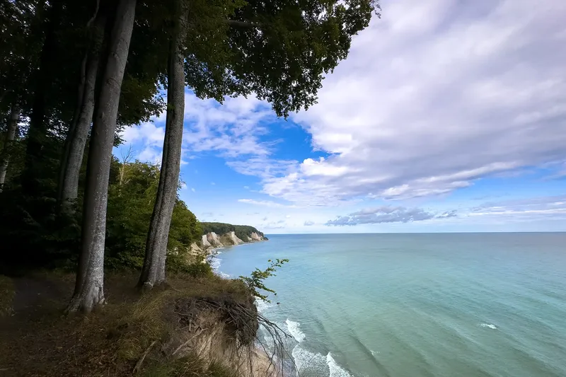 Buchenwälder und Wissower Klinken – Eine Wanderung im Nationalpark Jasmund auf der Insel Rügen