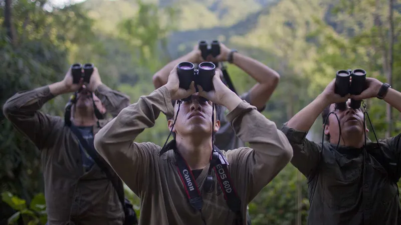 Birdwatching: Die besten Tipps für Peru