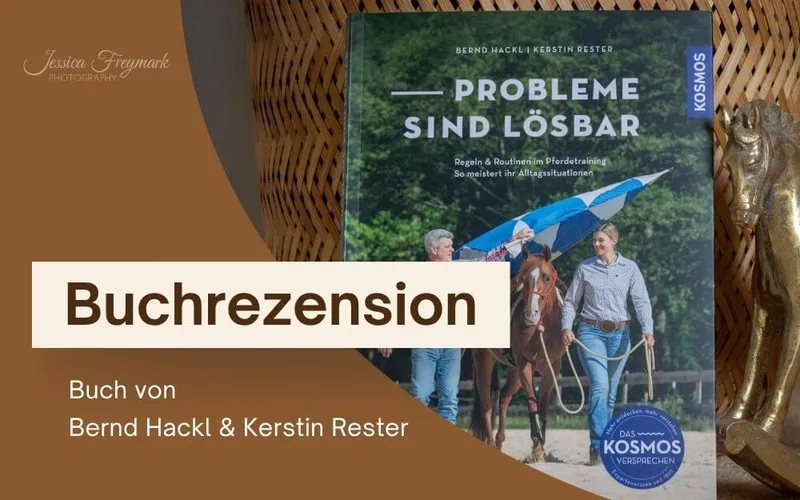 Buchrezension: Probleme sind lösbar