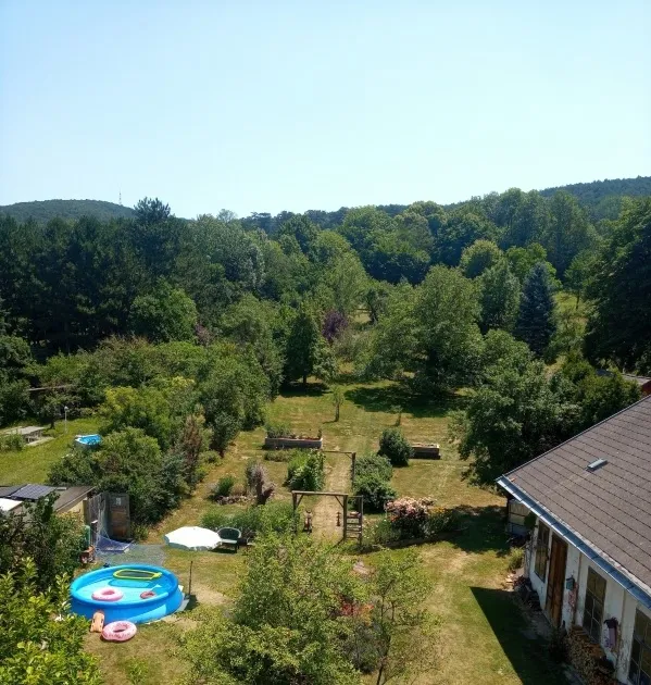 12tel Blick 2026 - Juni