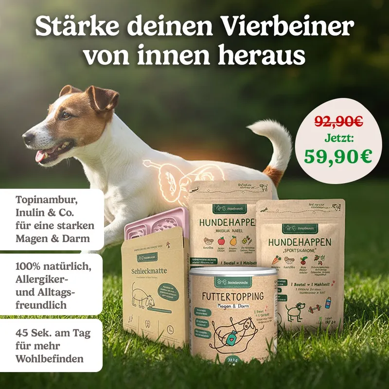Hunderunde.shop – Magen & Darm Set