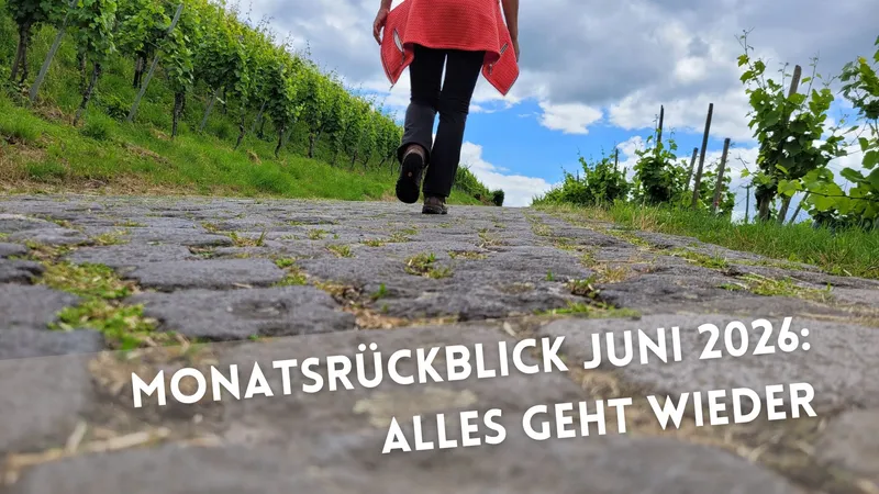Monatsrückblick Juni 2026: Alles geht wieder