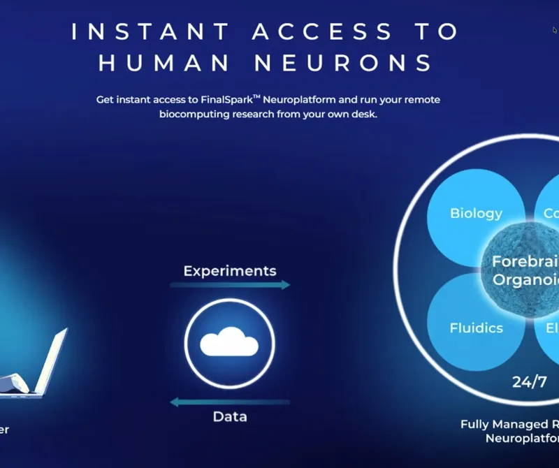 Menschliche Neuronen in der Cloud: Ein Blick hinter die Kulissen von FinalSpark