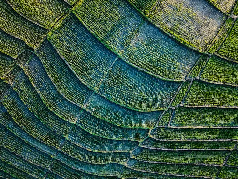 Duurzame cosmetica: wat zit er écht in jouw huidverzorging?