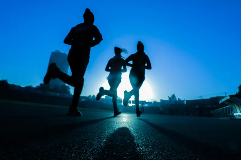 Physiotherapie: wat het is, wat het doet en wanneer het helpt