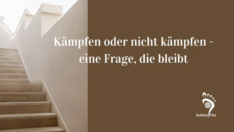 Kämpfen oder nicht kämpfen – eine Frage, die bleibt