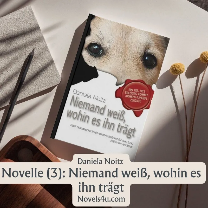 Novelle (3): Niemand weiß, wohin es ihn trägt