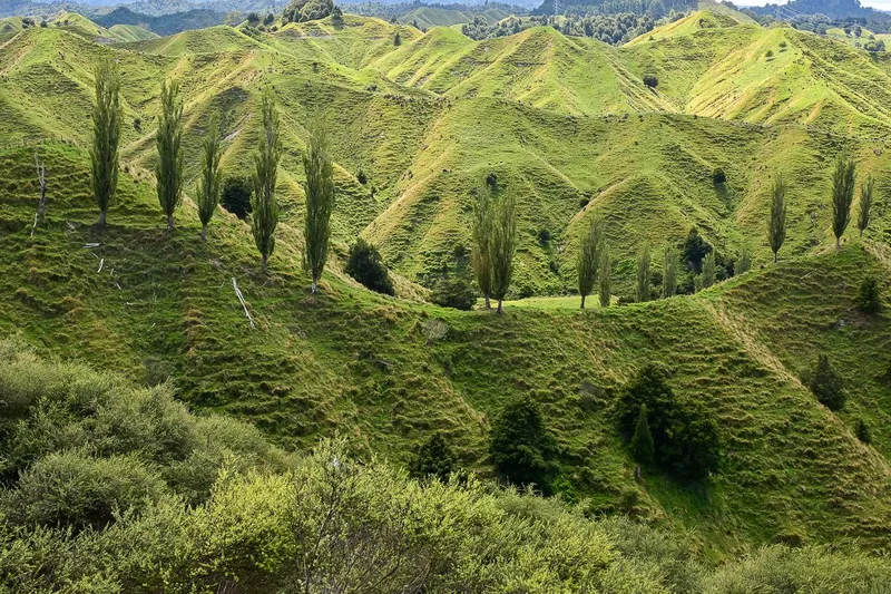 Forgotten World Highway – ein Roadtrip durch ein Stück Good Old New Zealand
