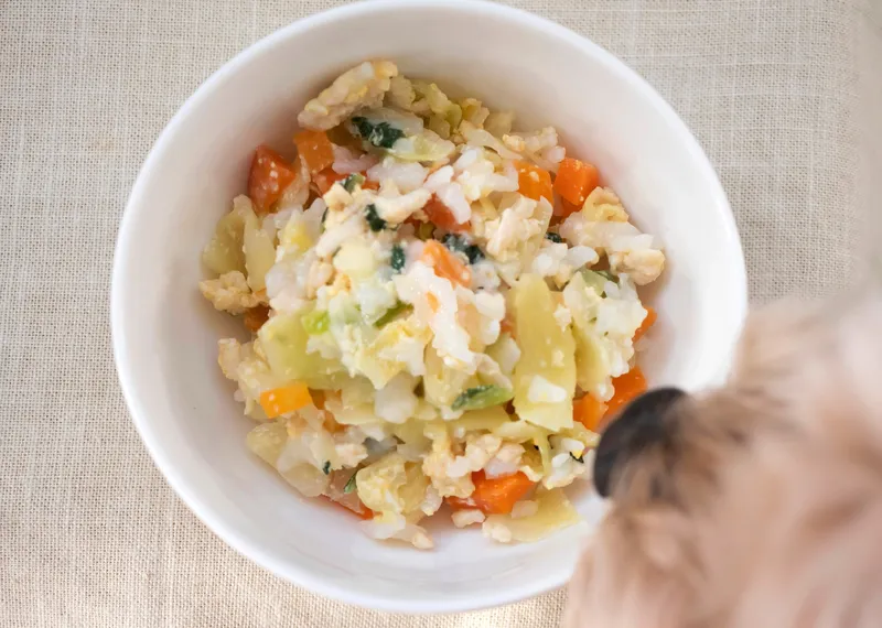 Proteinversorgung bei vegetarischer Ernährung: So klappt die Versorgung ausgewogen!