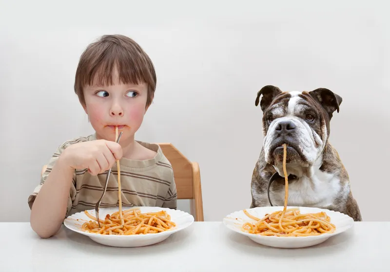 Nachhaltige Ernährung für Hund und Mensch: Warum beides zusammengehört