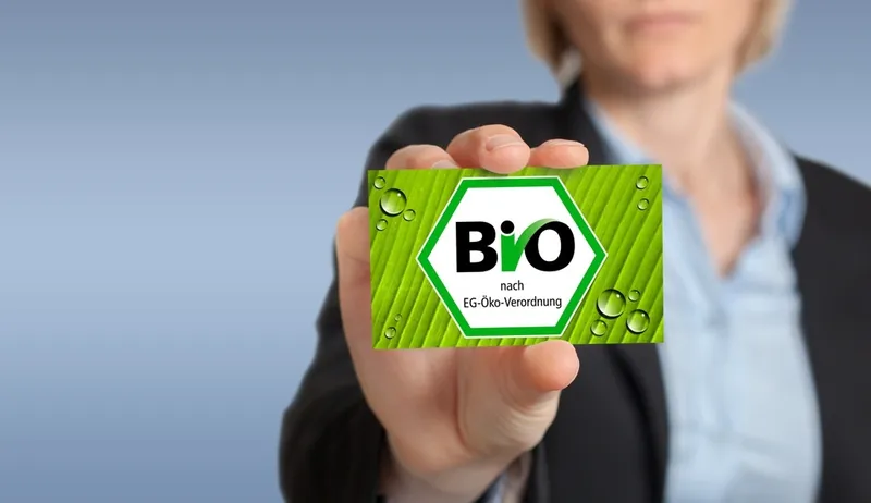 Bio-Hundefutter: Wirklich besser für Hund und Umwelt?