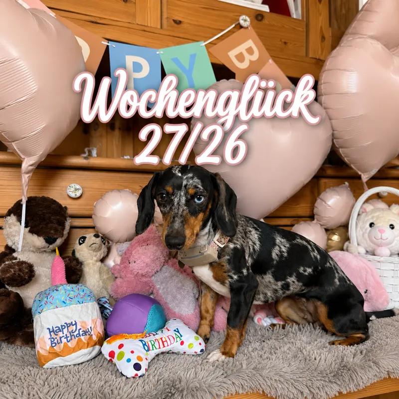 Wochenglück 27/26 – Zwischen Sommerhitze, Geburtstagen und kleinen großen Schritten