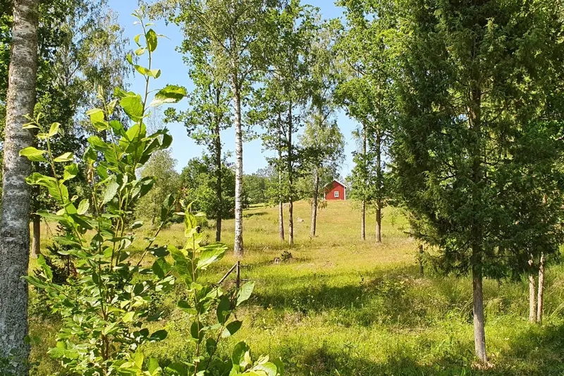 Småland-Roadtrip abseits der Klischees