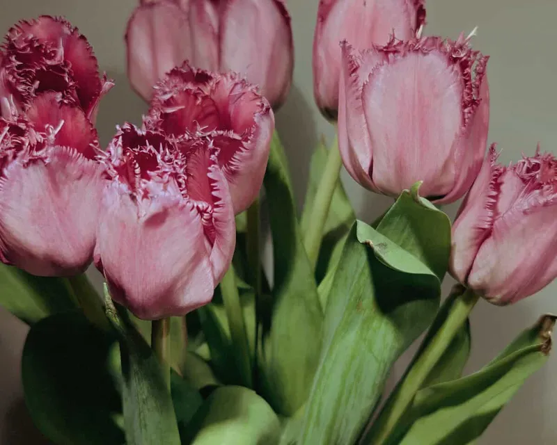 Die Freitagslieblinge am 1. Mai – ohne Tanz mit viel Liebe