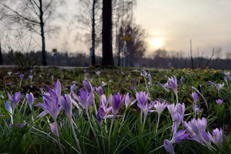 Illertissen im Frühling: 7 Dinge, die ihr euch nicht entgehen lassen dürft